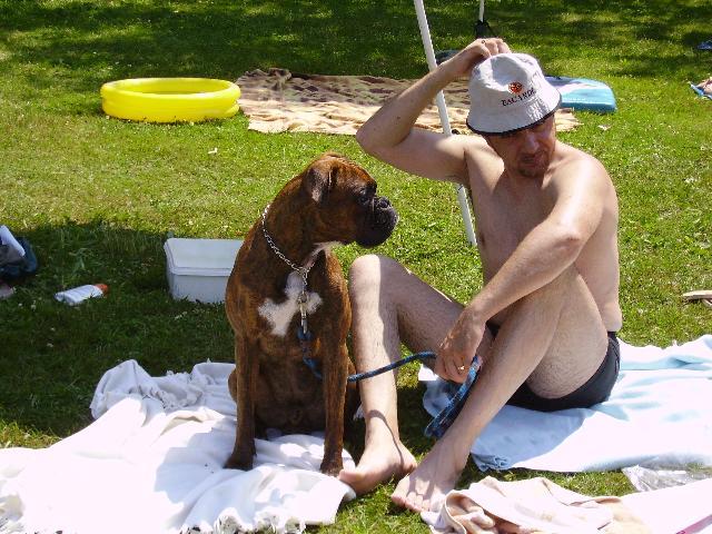 Fotky: N�meck� boxer (foto, obrazky)