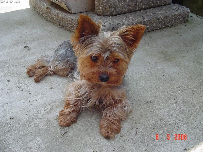 Foto: Bert�k-Bert�k