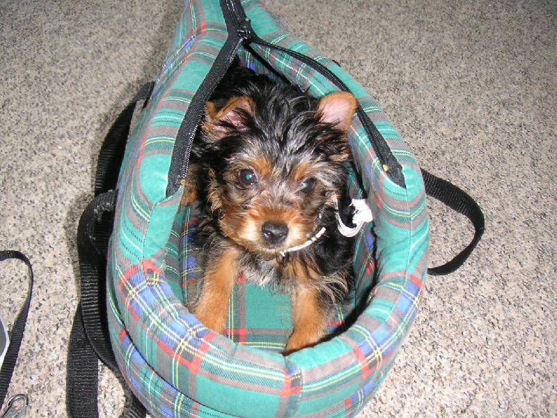 Foto: Jdeme na proch�zku