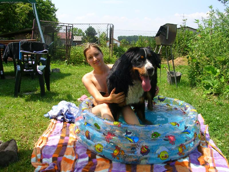 Foto: Max�k-Max�k v baz�nu