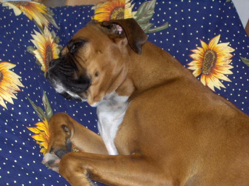 Foto: Donna-odpo�inok :O)