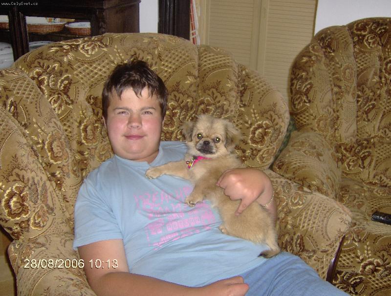 Foto: L�ska moja-M�j mal� pomocn�k Donnka