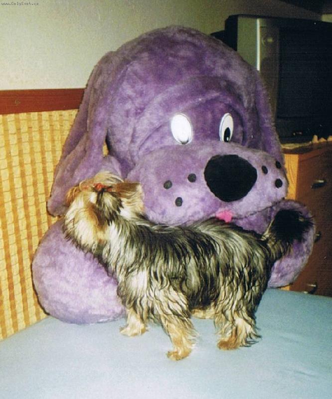 Foto: j� a ply���ek