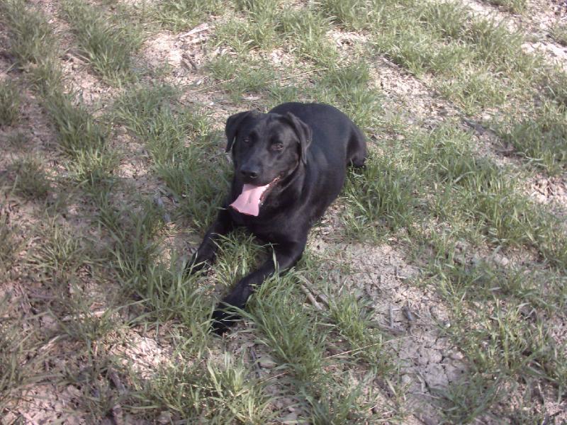 Foto: Sandy-na proch�zce....