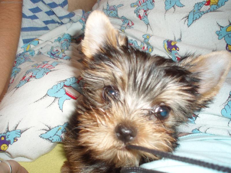 Foto: cocinka-tak to sem j�