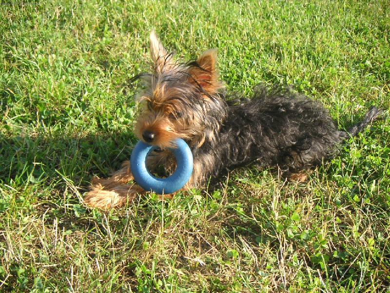 Foto: Maciny s kole�kem-Maxime