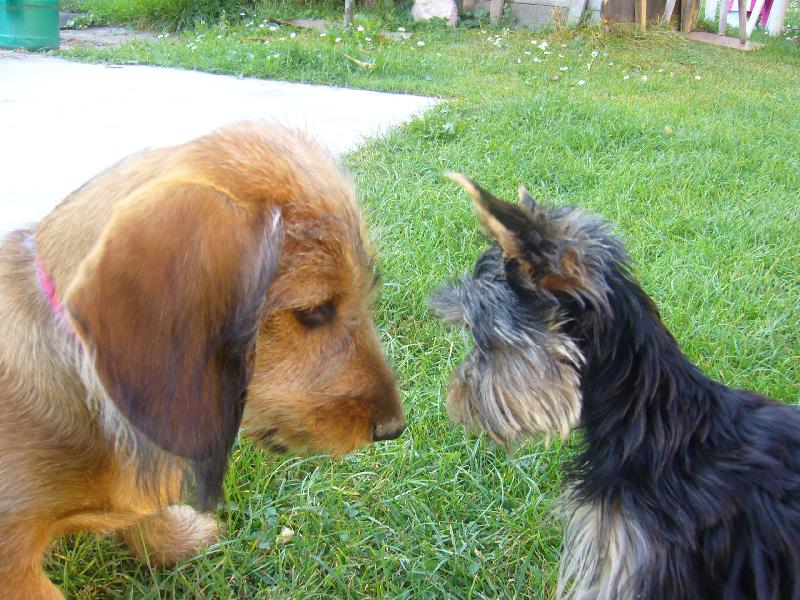 Foto: hmm kdo z koho!!!