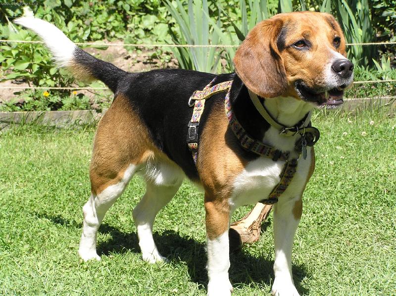 Foto: Flek-To je n� krasavec