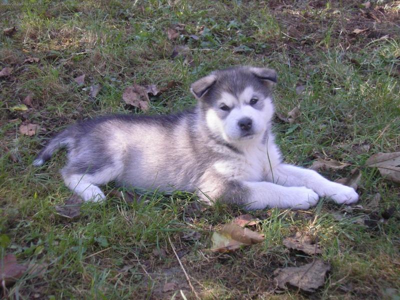 Foto: mal� sle�na-U� je mi 6 tejdn�