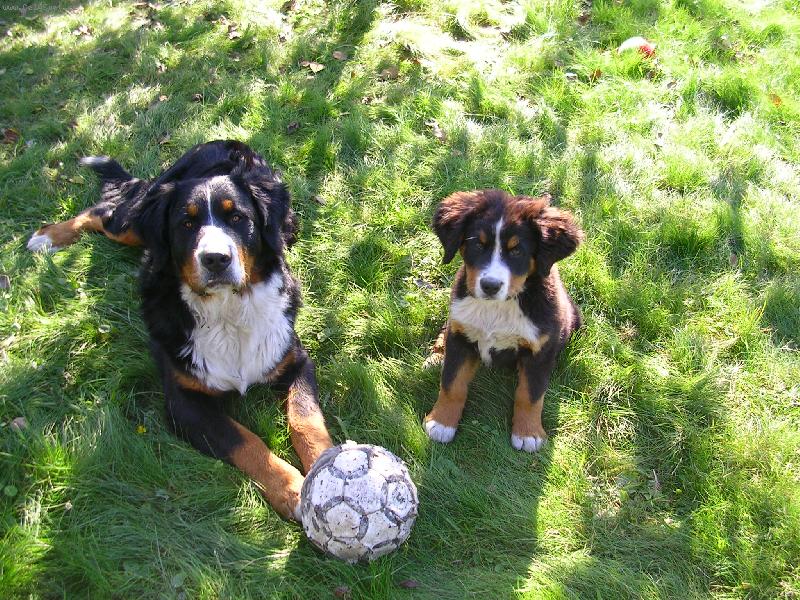 Foto: max�k a sam�k