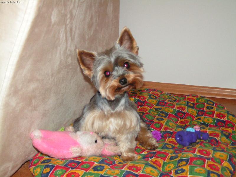 Foto: Jessi po koupeli