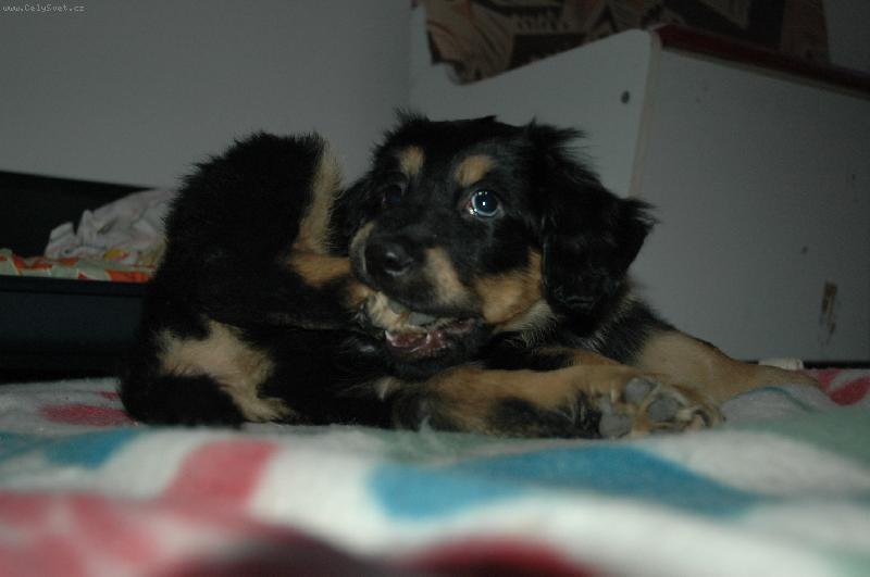 Foto: Mnam doobra nozicka