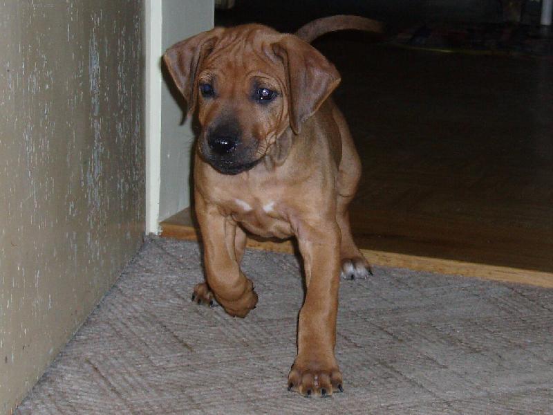 Foto: Kuk!-Prvn� den doma.