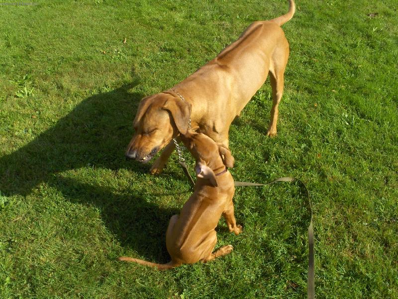 Foto: Richrd s Margaretou-w parku