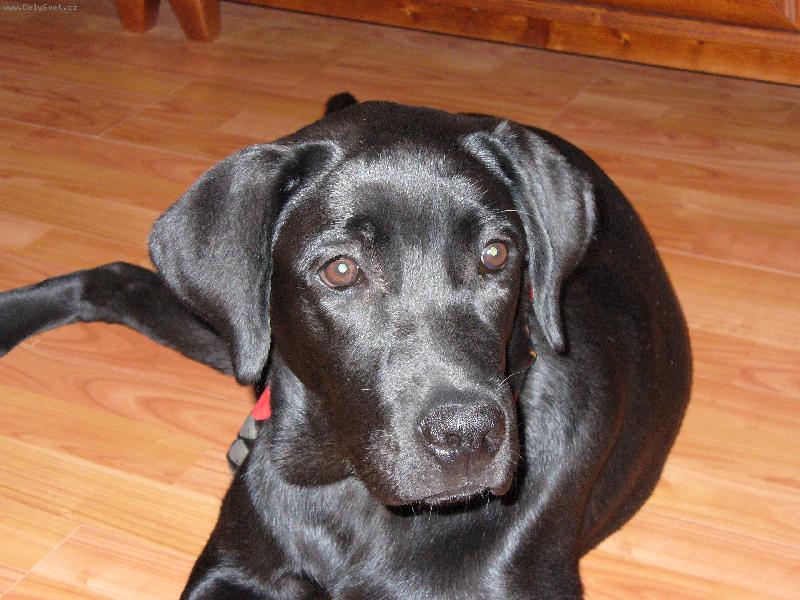 Foto: Na�e Eli�ka