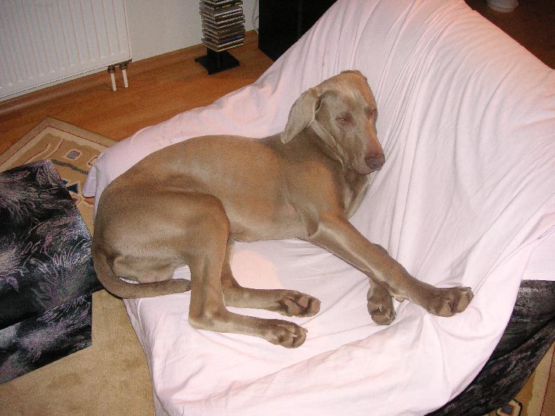 Foto: velk� sp��