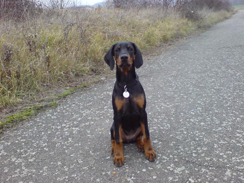 Foto: Aysha-to jsem vyrostla co?