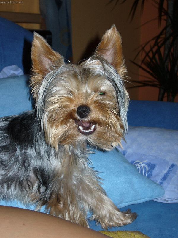 Foto: MIA z D���na