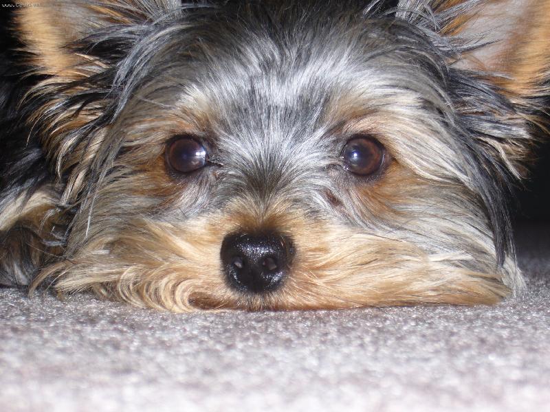 Foto: odpo��v�m