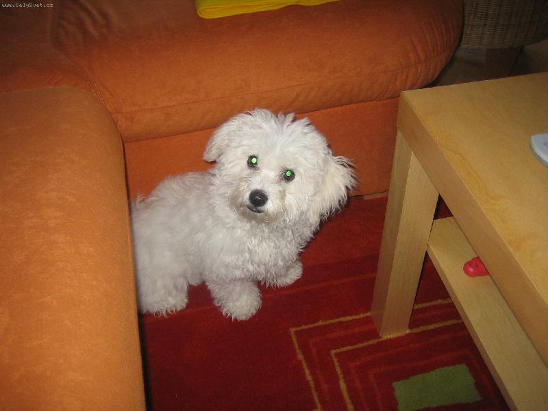 Foto: ...keysinka-4 m�s�ce