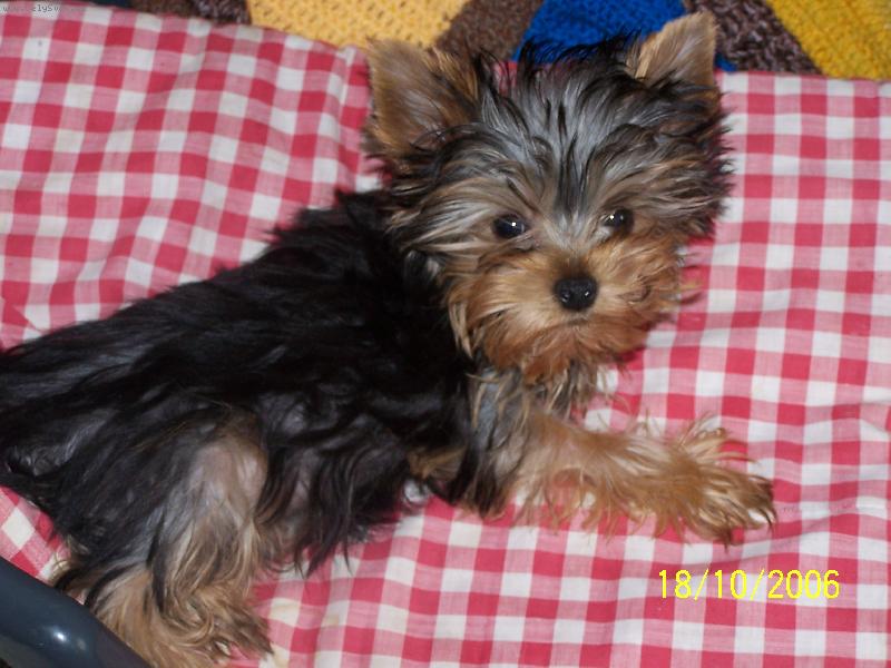 Foto: N� Mont�k-�t�n� 4 m�s�ce