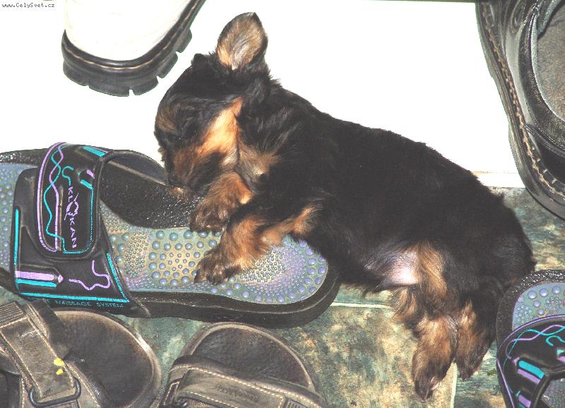 Foto: Sp�c� doga