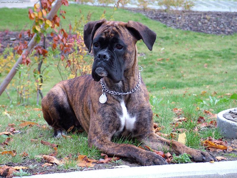 Foto: S�ra ,dcera Pegy�i