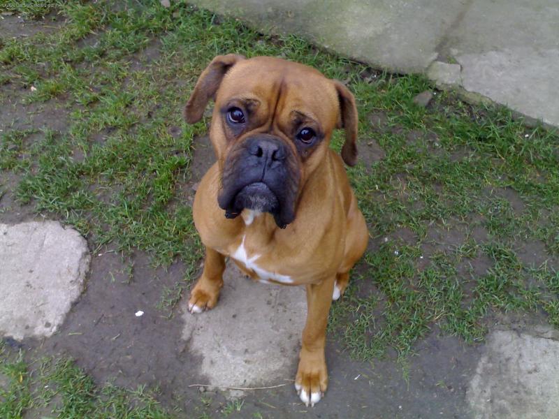 Foto: M�j krasavec!