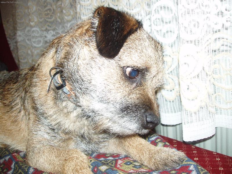 Foto: Monty-Co to bylo????