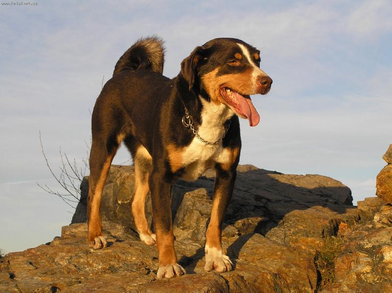 Foto: Tady m�m rozhled