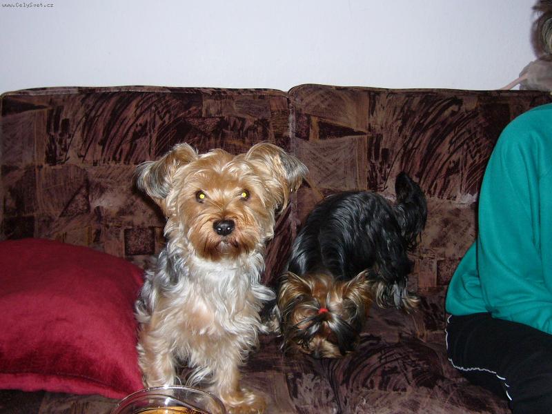 Foto: s kamar�dkou