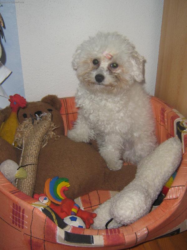 Foto: Shereen ve sv�m-To je moje bydlen�...