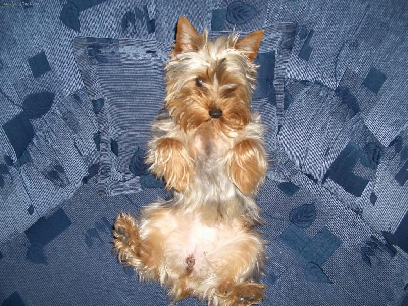 Foto: Terrynka-n� mil��ek