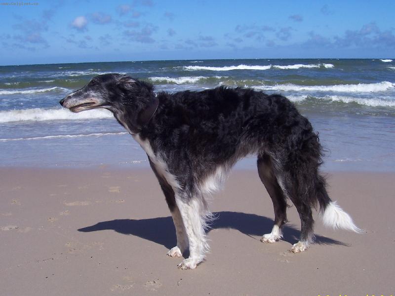 Foto: na v�let�-Natalma z Palatinu