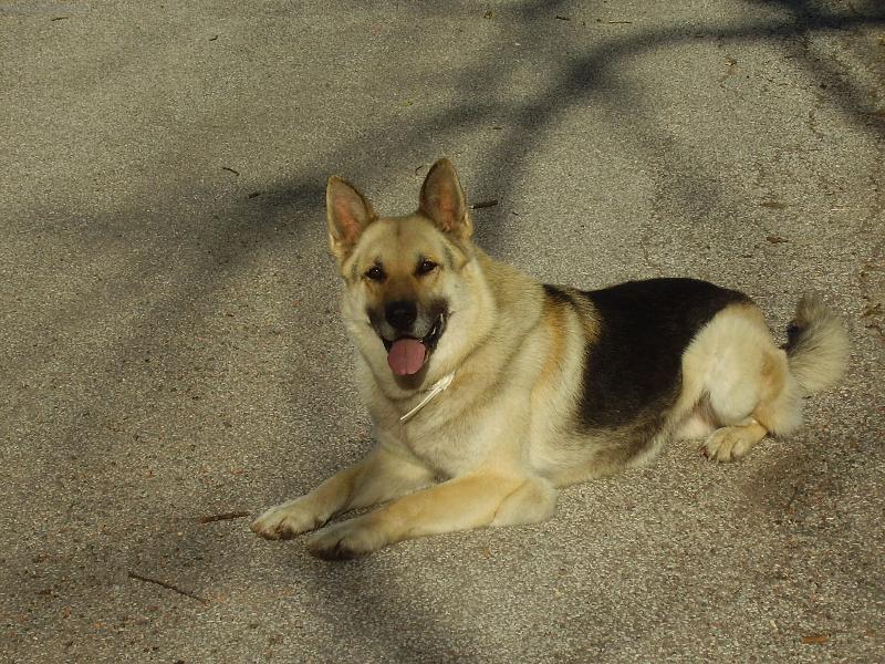 Foto: Bad-vy�esanej,vykoupanej