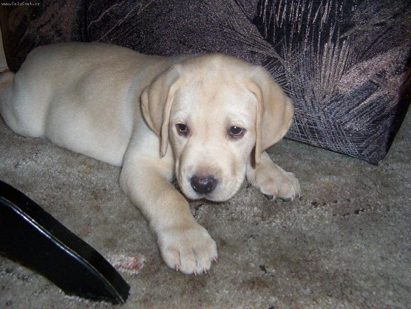 Foto: Max�k-odpo��v�m