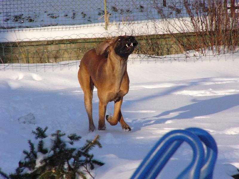 Foto: Enzo Rendog-D�z� up�r