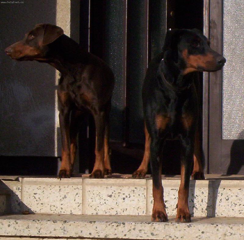 Foto: S�ra a Andy-matka s dcerou