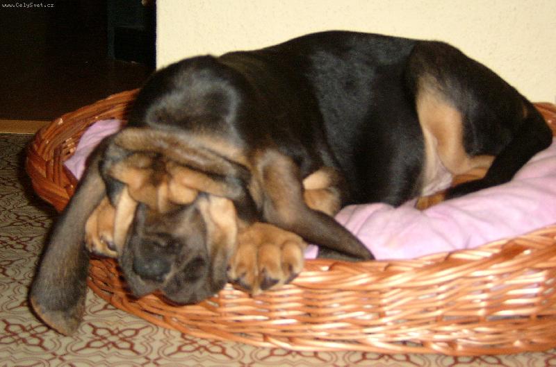 Foto: ISEB CS-Arih Iseb 7 t�dn�