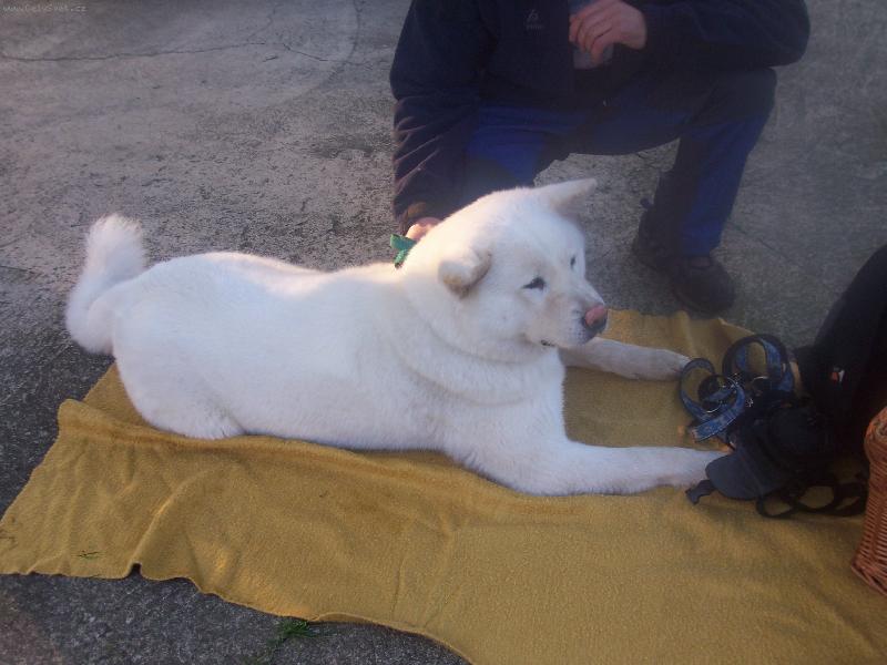 Foto: Ziru�ka na v�stav�