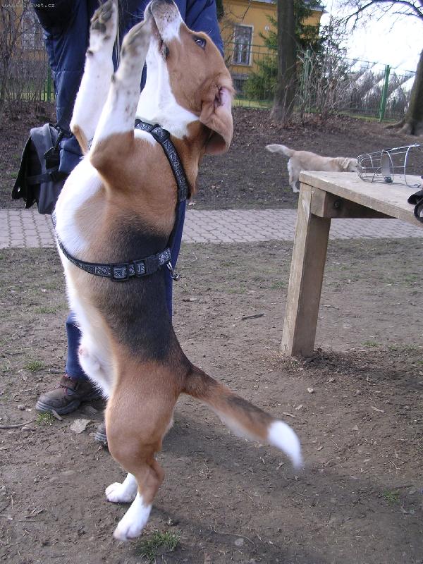 Foto: To je ale �ikulka