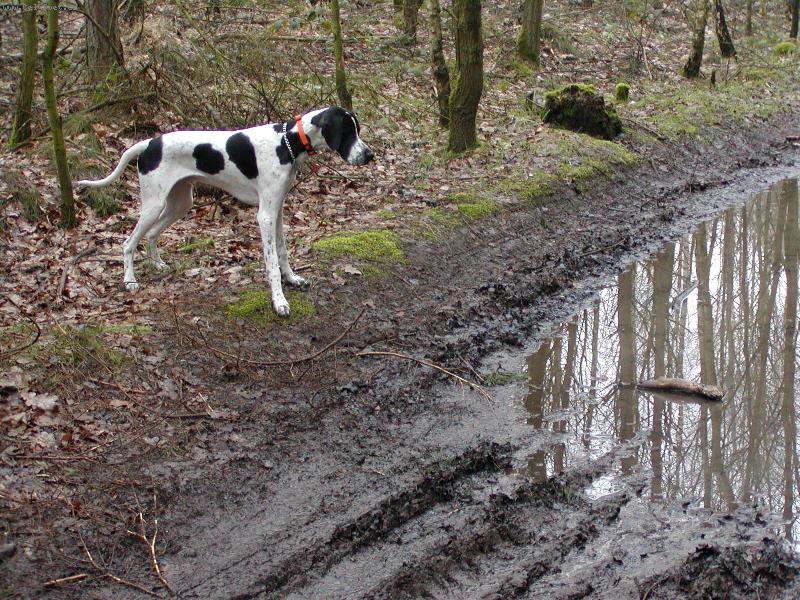 Foto: Snoopy 8 m�s�c�-Ha klacek