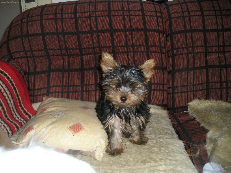 Foto: �IKY-MAM 4 MESIACE