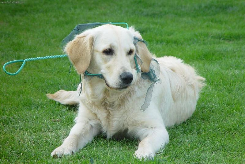 Foto: Anny a s�ka na rybi�ky