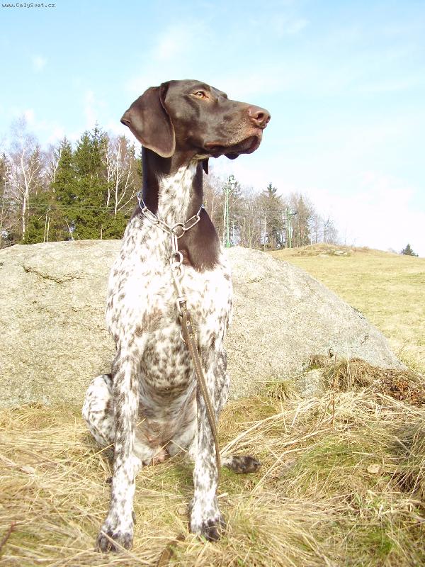 Foto: NKO Cirra Lav�re Mor�via