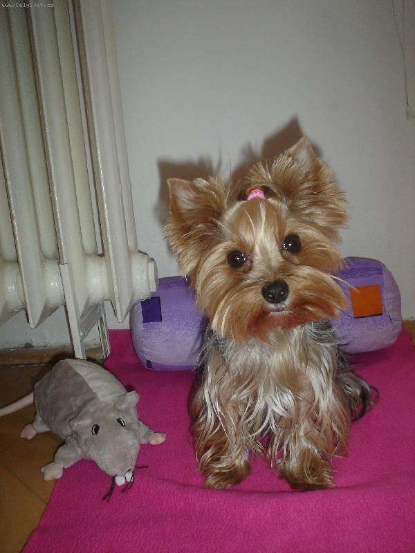 Foto: Ami veget� doma