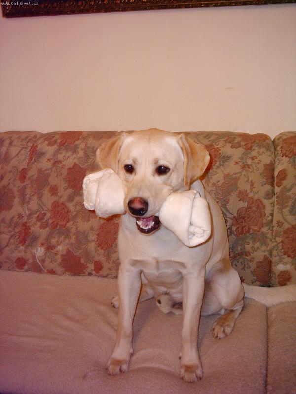 Foto: To m�m ale kosti�ku,�e?