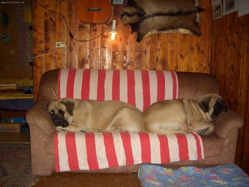 Foto: poled���ek