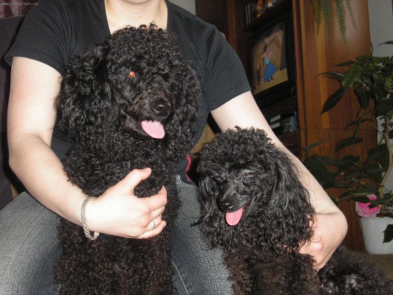 Foto: na�i mazl��ci