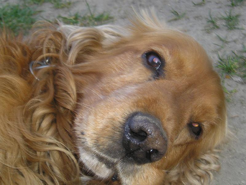 Foto: Jesin-Chci sp�t